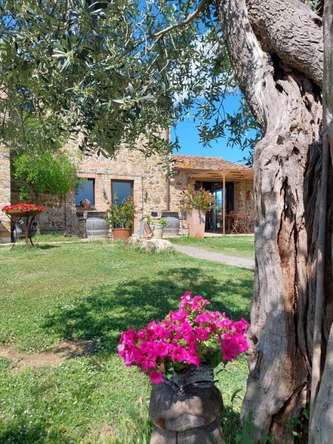 Casetta Dell'Uliveto Macchiascandona Exterior foto